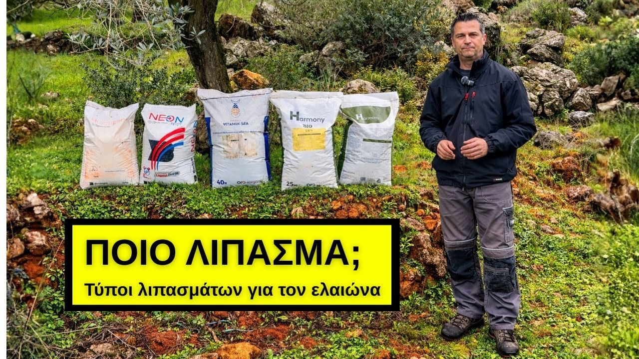 ΠΟΙΟ ΛΙΠΑΣΜΑ ΝΑ ΕΠΙΛΕΞΩ; | Τύποι λιπασμάτων για τον ελαιώνα