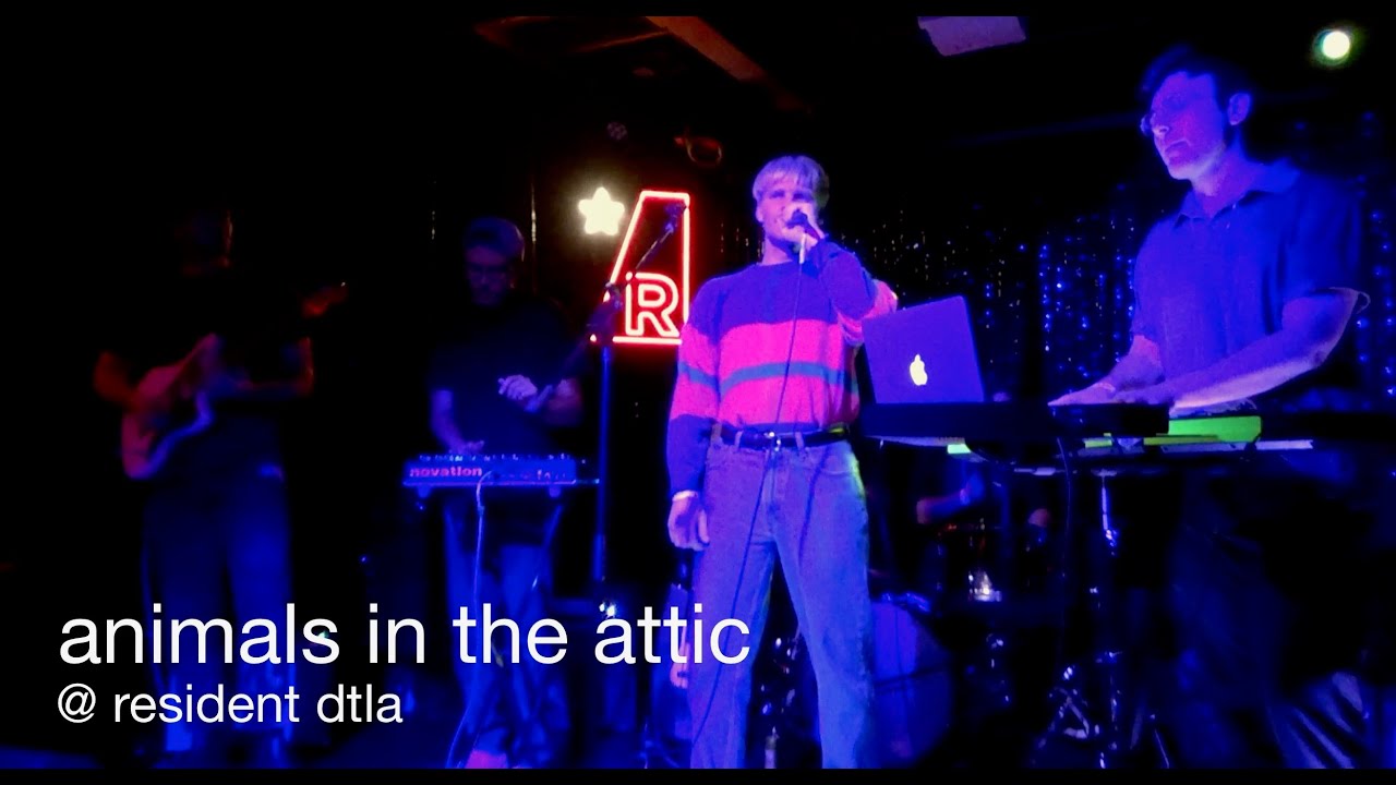 Animals in the Attic - 