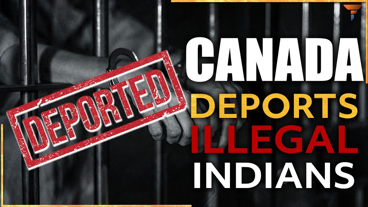 The Price of Desperation: The Impact of Illegal Immigration on India