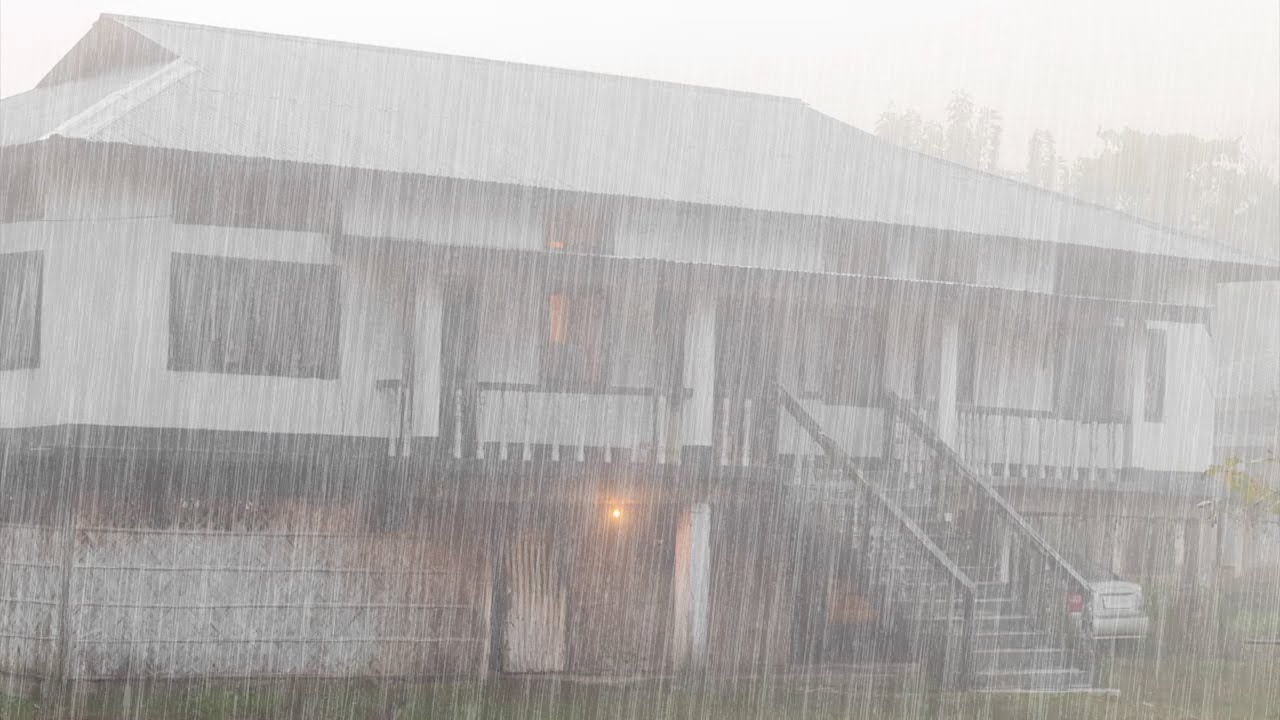 Regengeluid om diep te ontspannen en heerlijk te slapen - Geluiden van regen en onweer in mistig bos