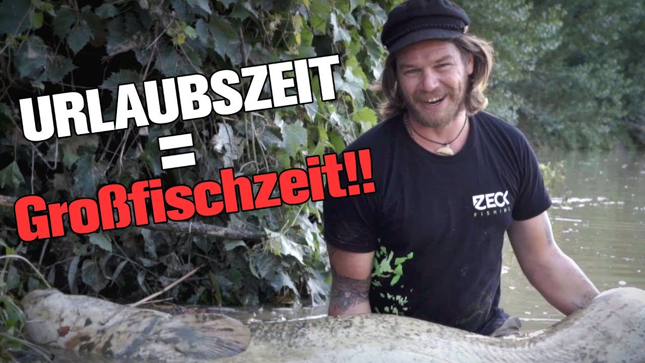 Ein Tag mit Eule am Wasser!