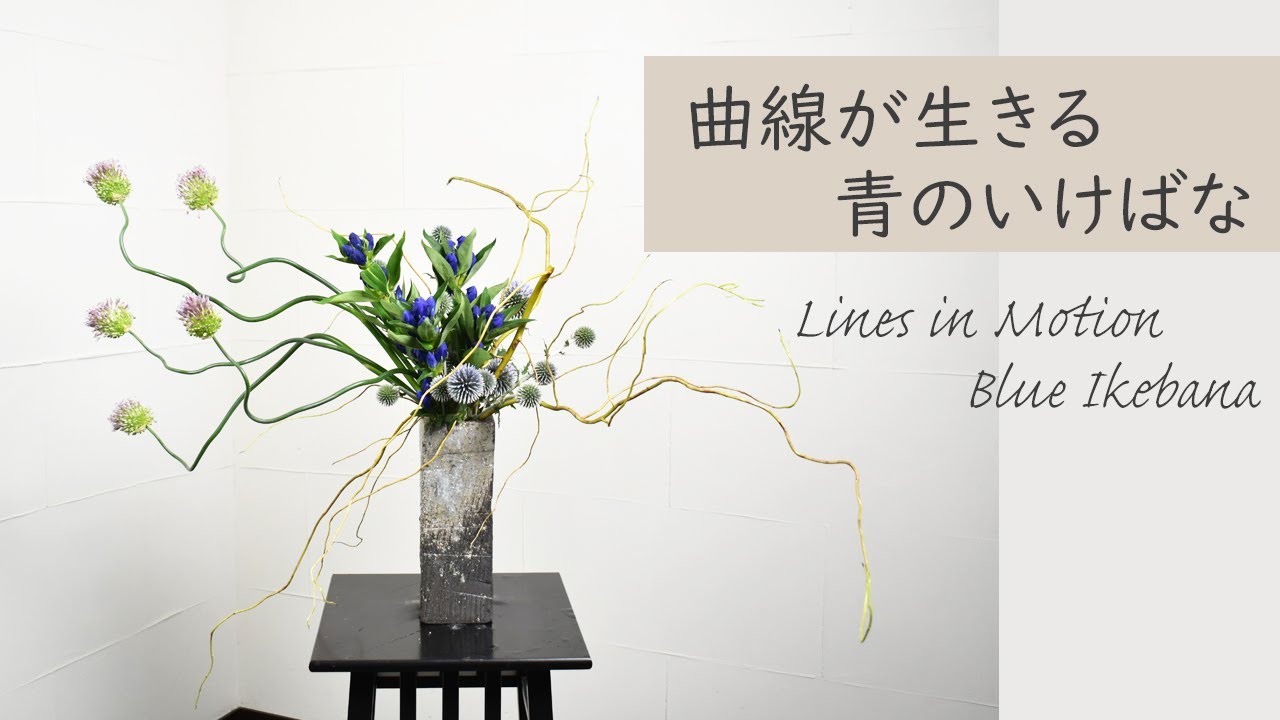 【中級者向け】青のいけばな 雲竜柳・丹頂アリアム Summer Ikebana in Blue: Curved Composition with Willow, Allium