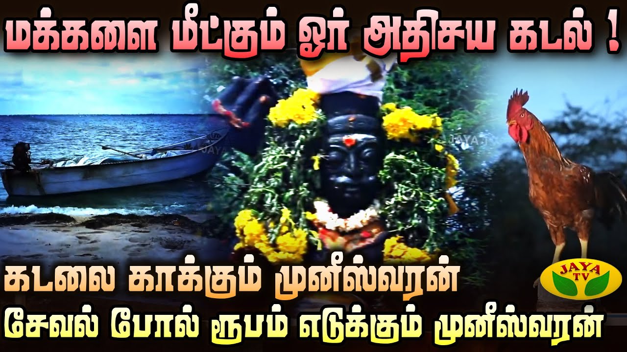 பக்தர்களை காப்பாற்றும் சேவல் !  | Mannil Ulavum Marmangal | Muneeswaran | JayaTv