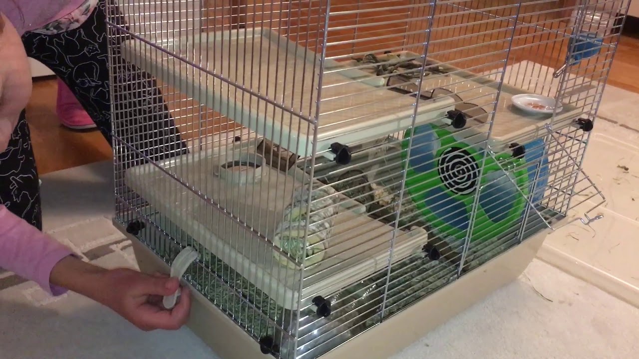 JAK URZĄDZAM KLATKĘ DLA CHOMIKA🐹