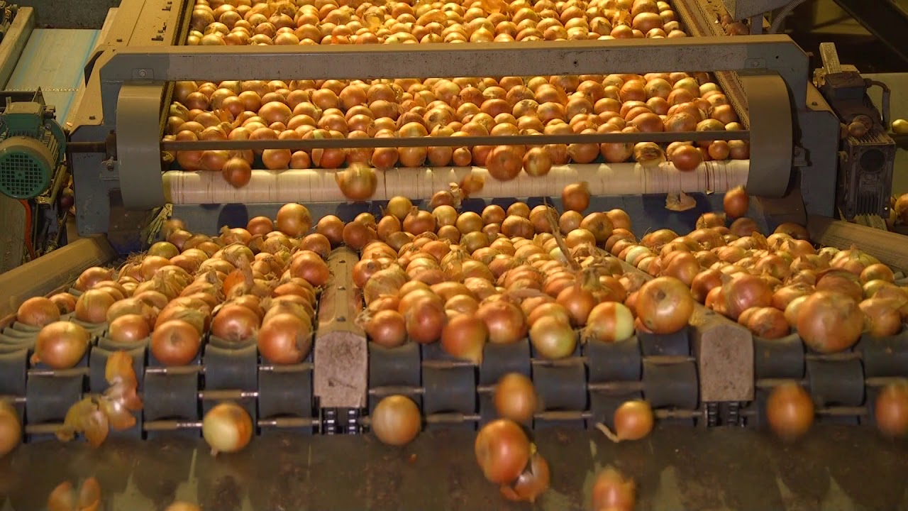 Premium Food & Wine in the Murraylands and Riverland region