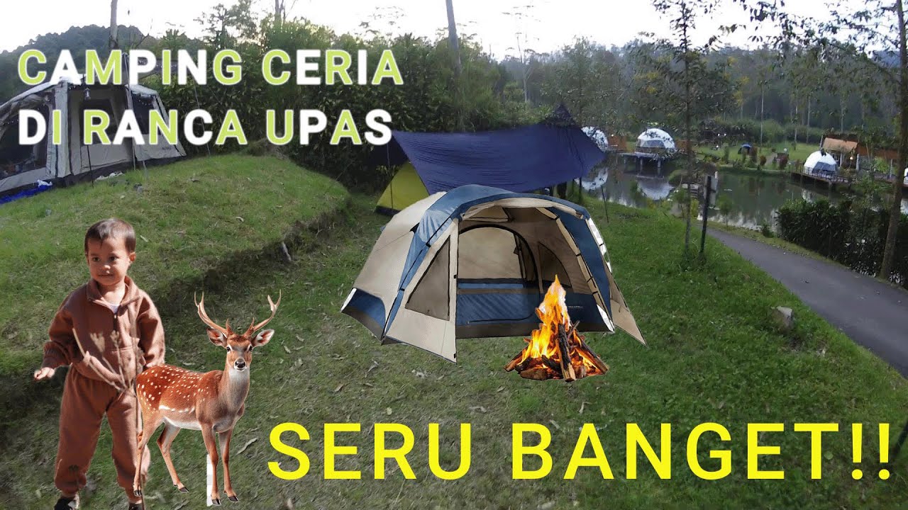 Camping Ceria Bareng Keluarga di Ranca Upas Ciwidey – Seru Banget!