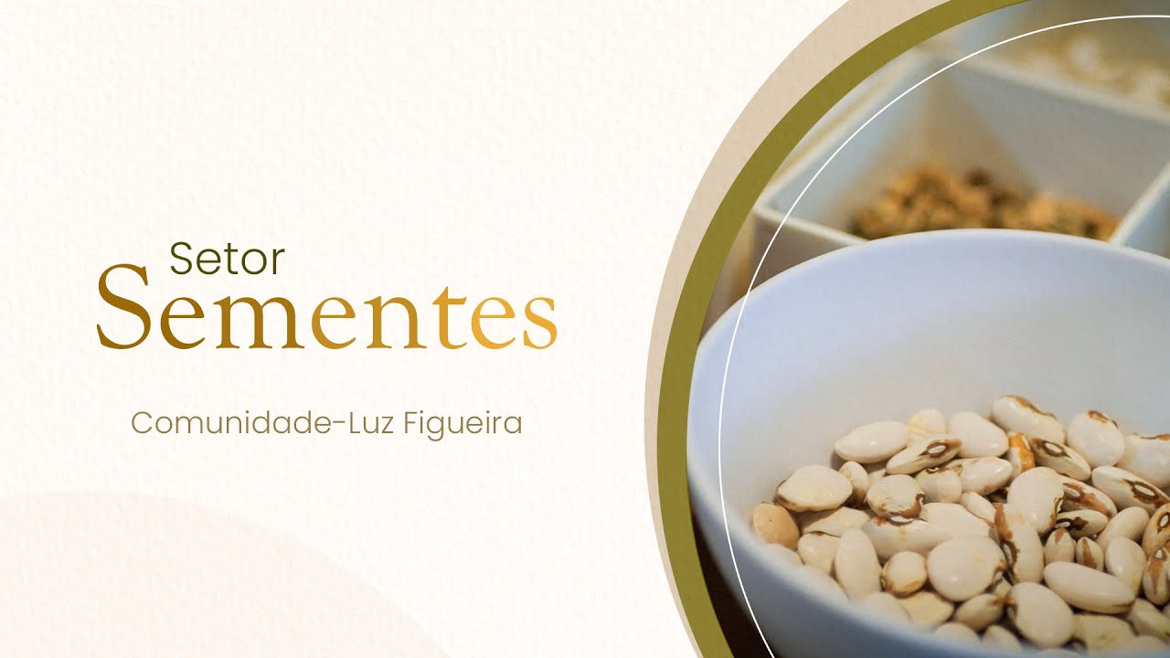 Setor Sementes em Comunidade - Luz Figueira