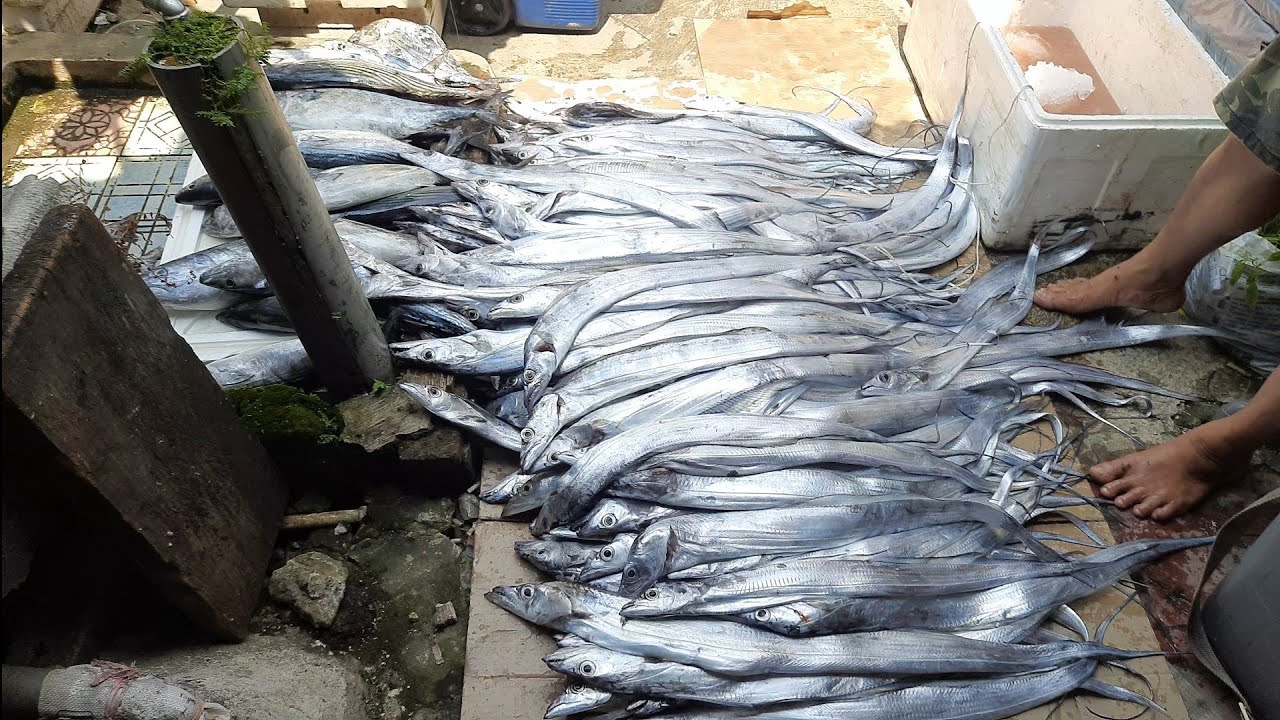 Mancing Bagan Apung Sukabumi. ful box layur dan walang keke
