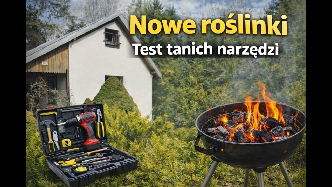 Nowe roślinki na działce oraz test taniego zestawu narzędzi Black 10422