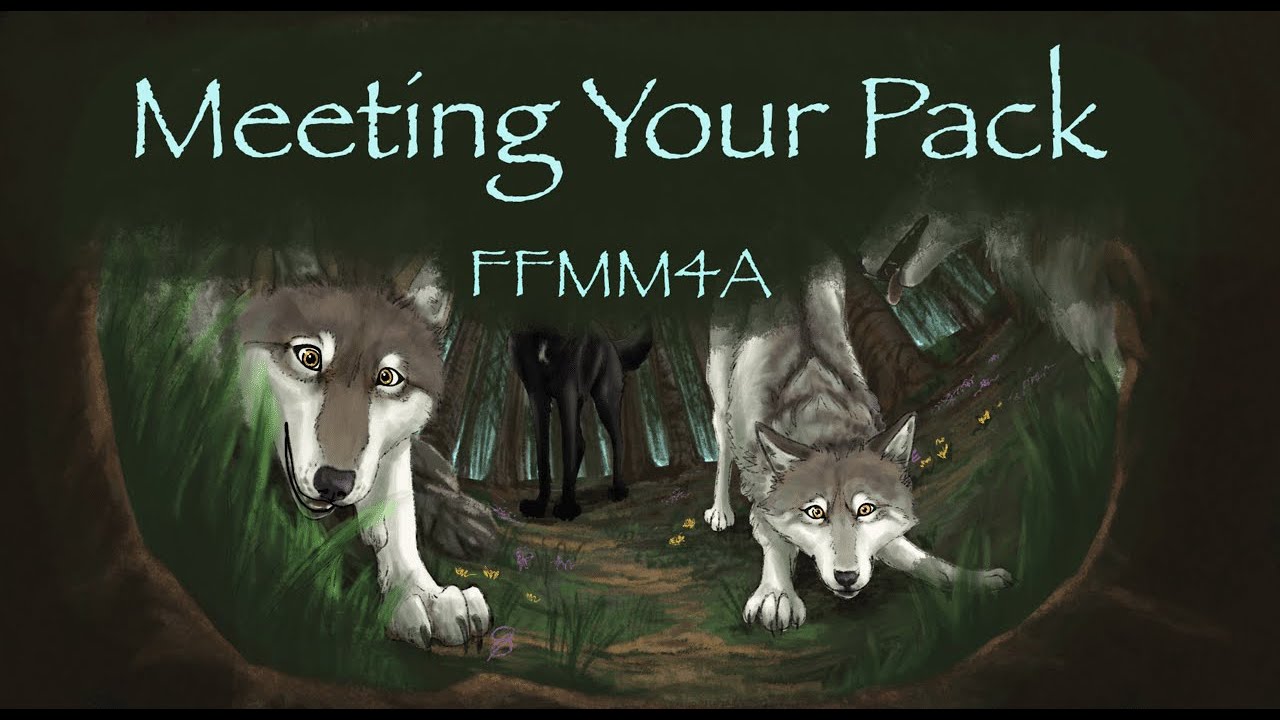 Meeting Your Pack (Feat Jouska, RainyDaysVA, and Cicero) [wolf pup listener]