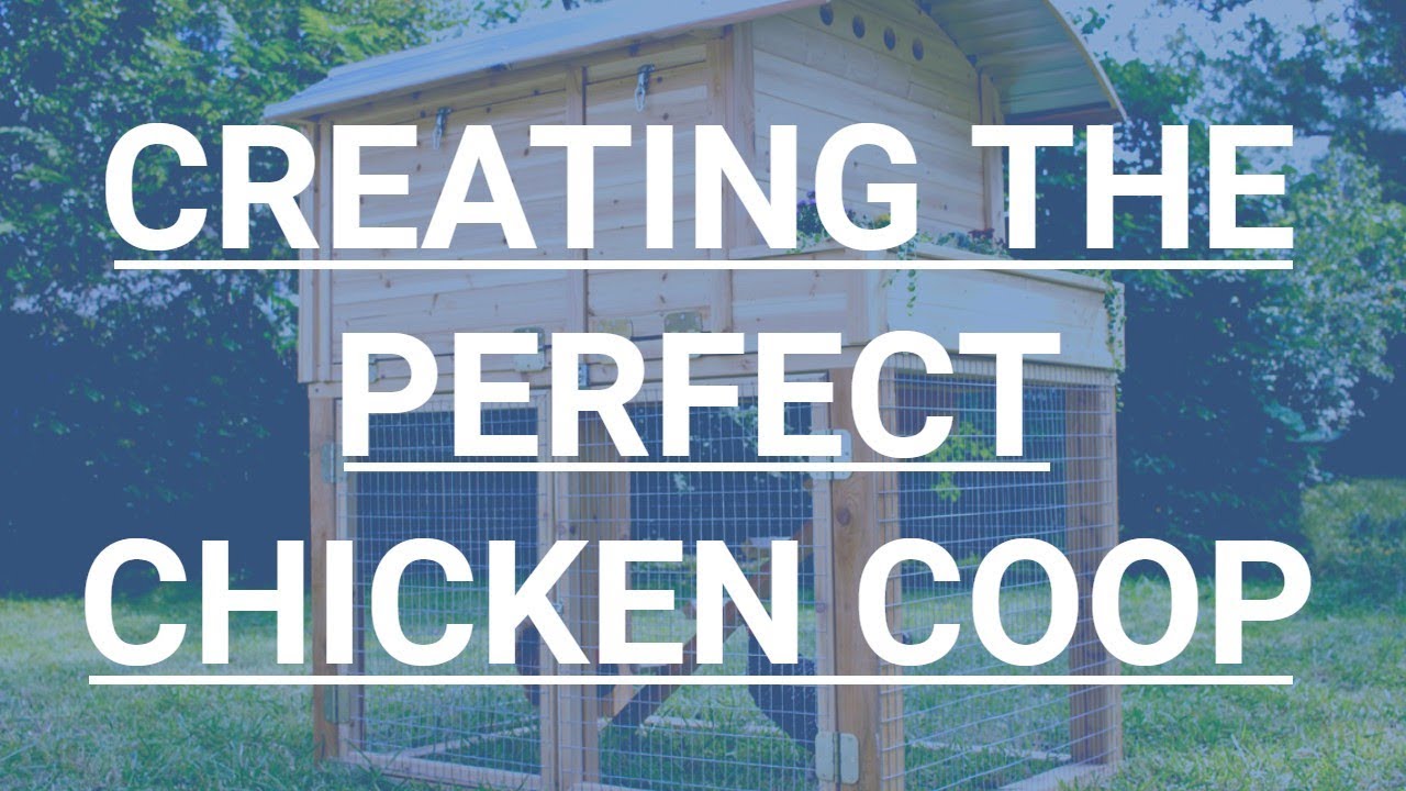 Chicken Coop Flooring Options | Chicken Coop Plans