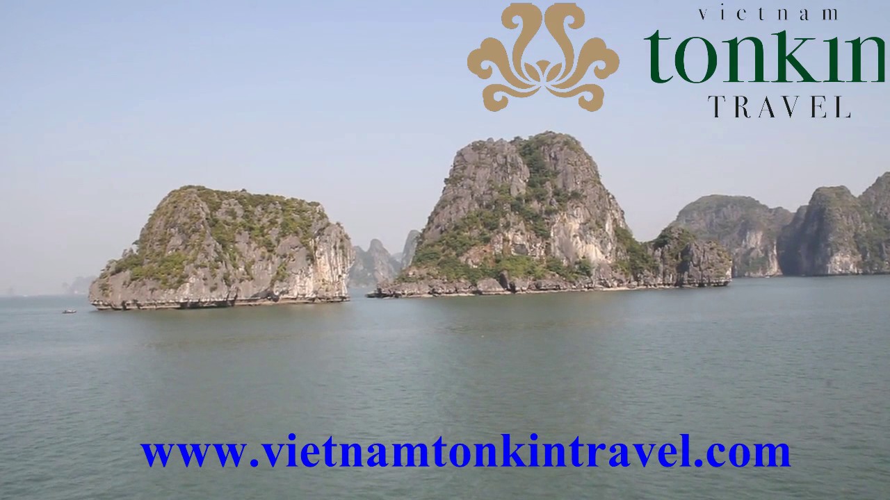 Bai Tu Long bay Cruise tours