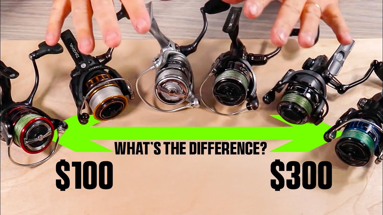 Best Inshore Saltwater Reel For You: $100 vs $200 vs $300 Breakdown