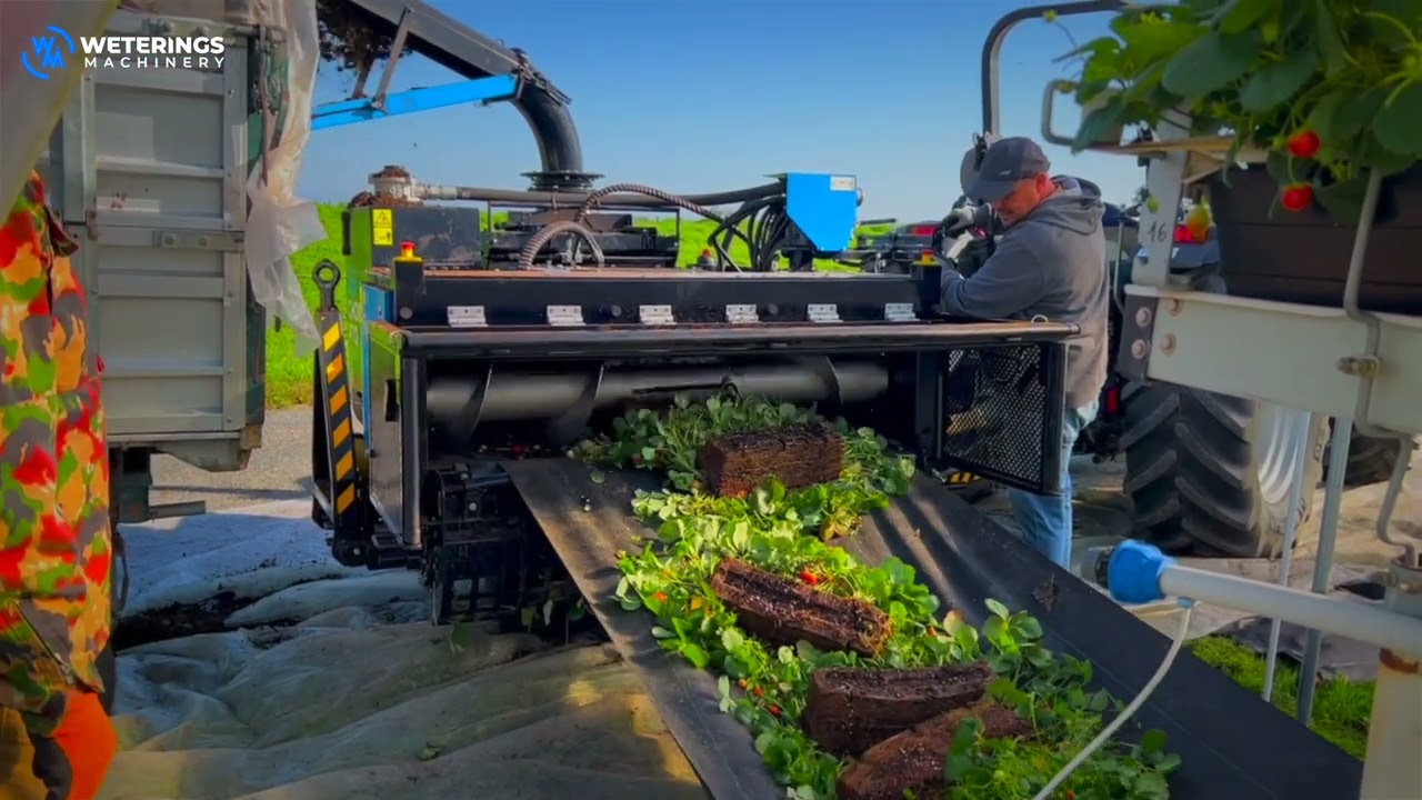 Bio Chopper PTO Shredding Strawberries