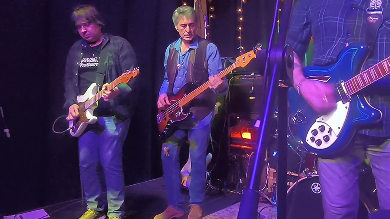 THE HONEYS ROCK BAND-(THE CARS -JUST WHAT I NEEDED)