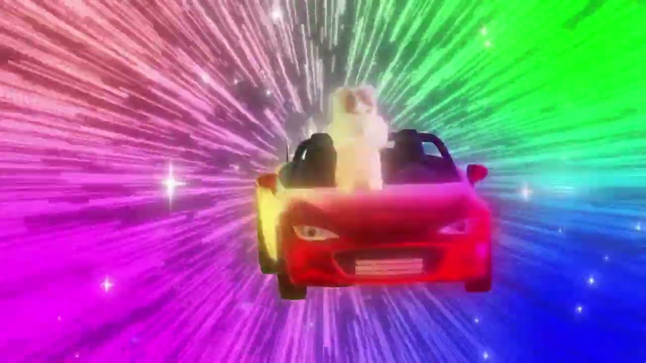 DON'T STOP ME NOW - QUEEN || Animacion con gatos