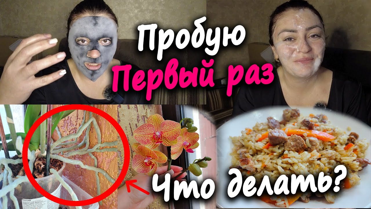Я не ожидала! Маска от которой смешно) /Орхидея вросла в стену. Что с ней теперь делать?