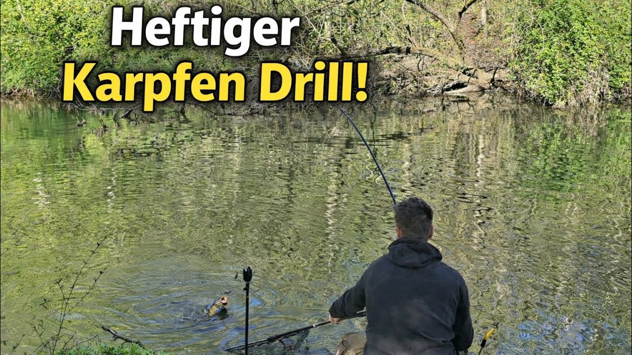 Brutale Karpfen Drills beim Angeln