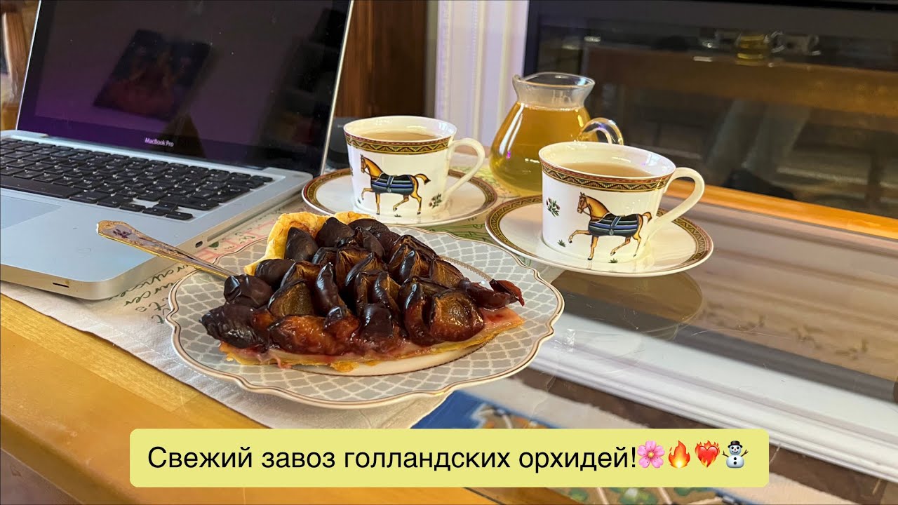 Зимние поставки орхидей - самые яркие! Ирония судьбы!⛄️🤷🏼‍♀️😲
