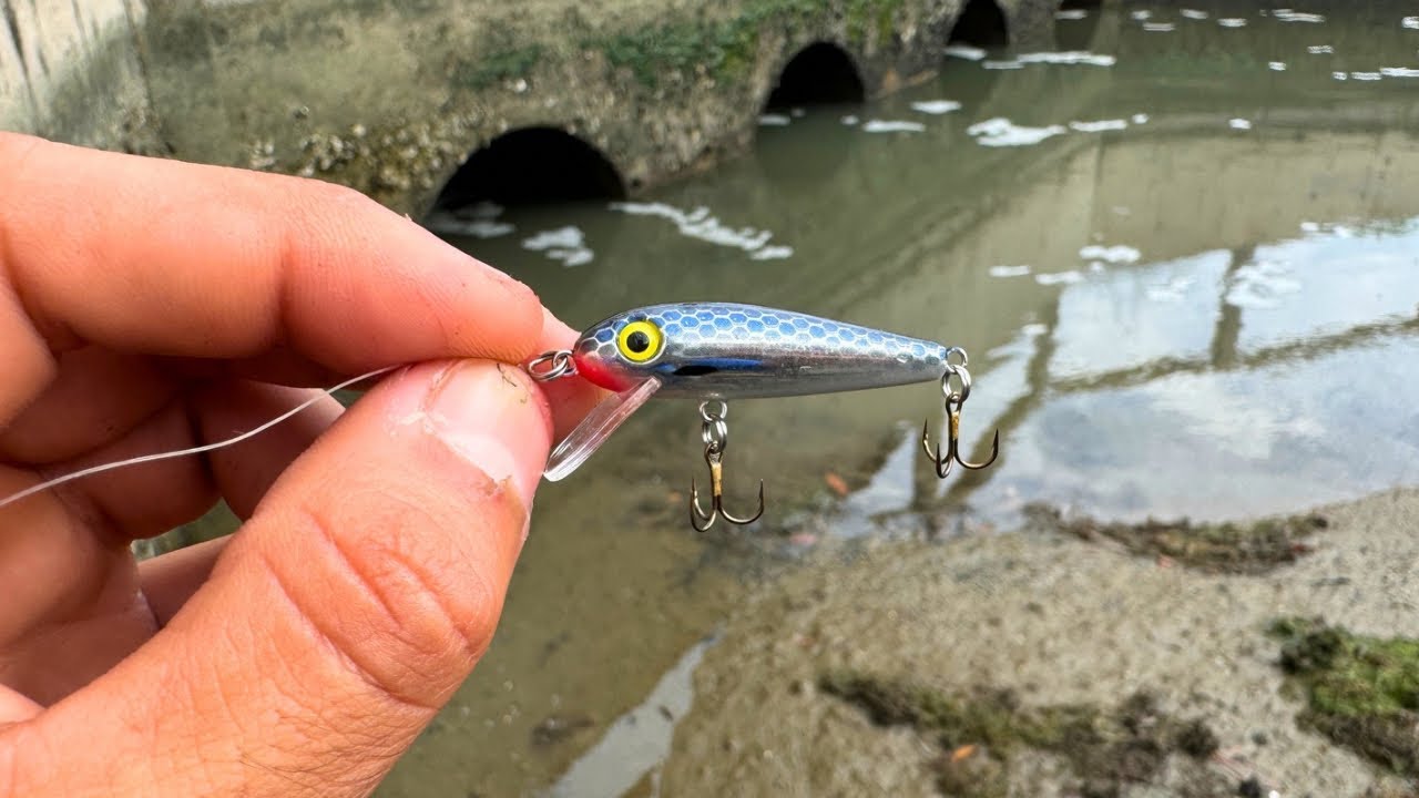 Pesca de Pargos con el SEÑUELO Mas PEQUEÑO