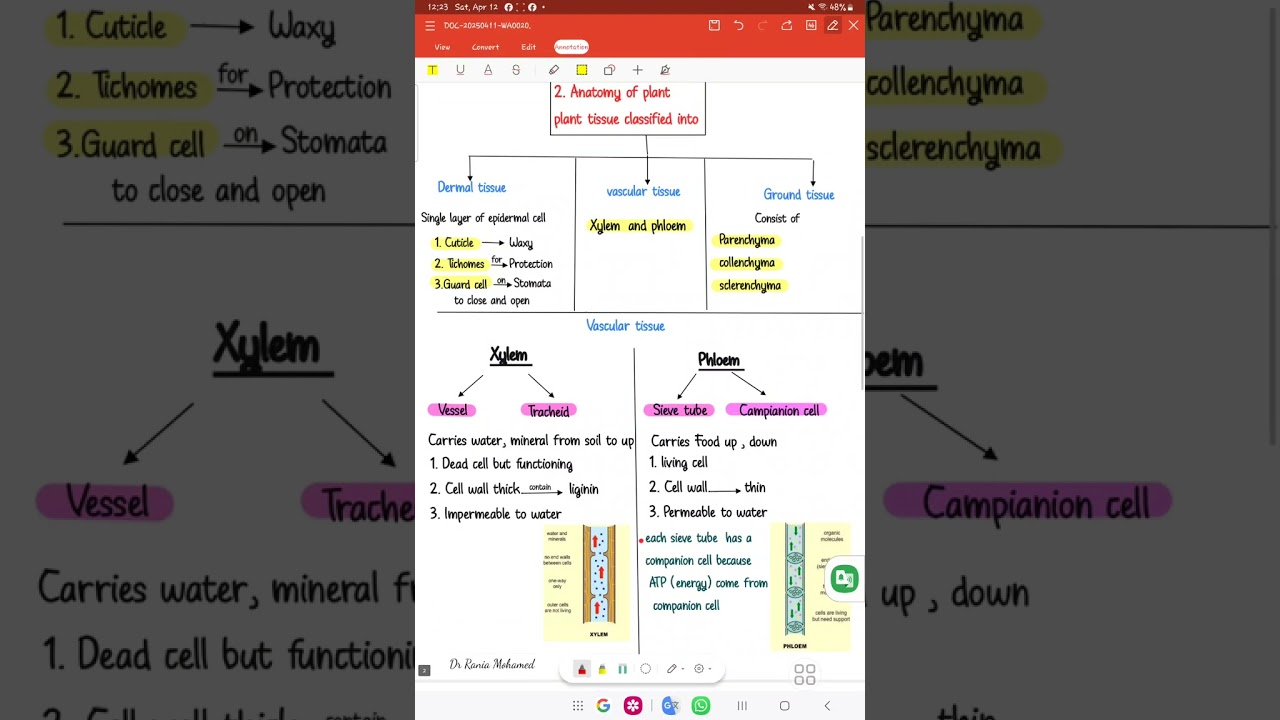 Plant physiology ( part 1) EST2 ,ACT2  Dr/ Rania Mohammed