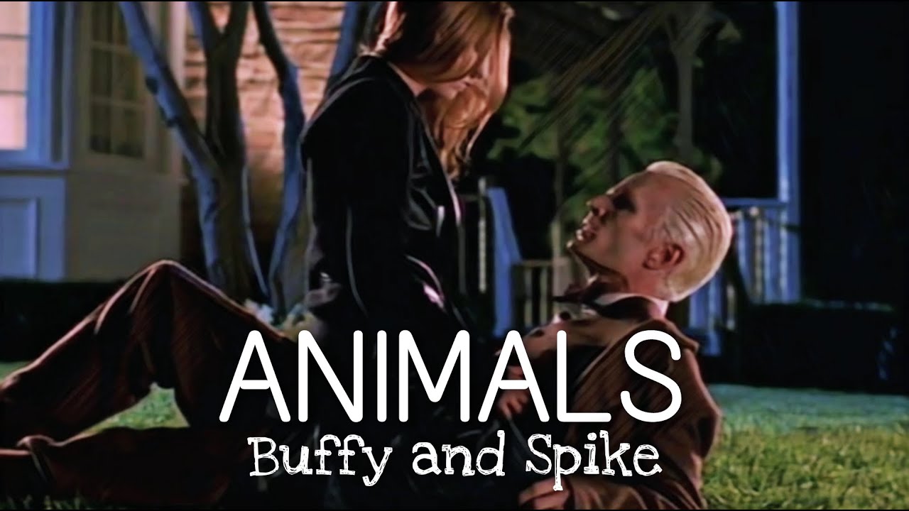 Buffy and Spike | Animals [Buffy the Vampire Slayer +All Seasons]