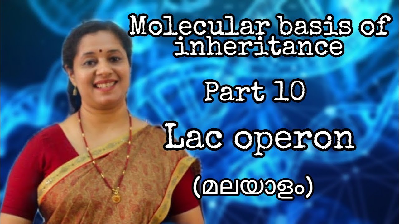 NEET: BIOLOGY: Molecular Basis of Inheritance: Part 10: Lac Operon and Trp Operon.