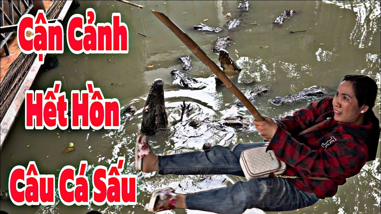Cận cảnh