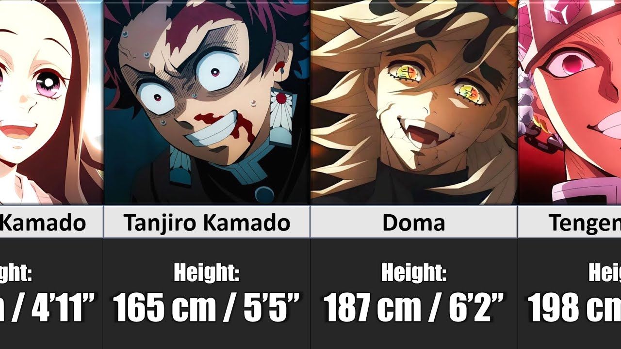 Who is the TALLEST? Demon Slayer Characters Height