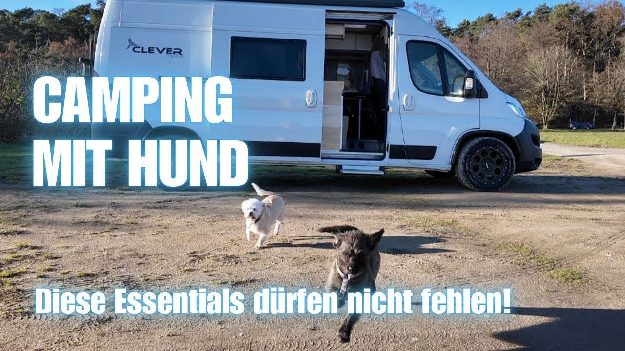 Camping mit Hund - Entspanntes Reisen im Kastenwagen mit unseren Fellnasen🐶🐶 Tipps, Tricks & Zubehör