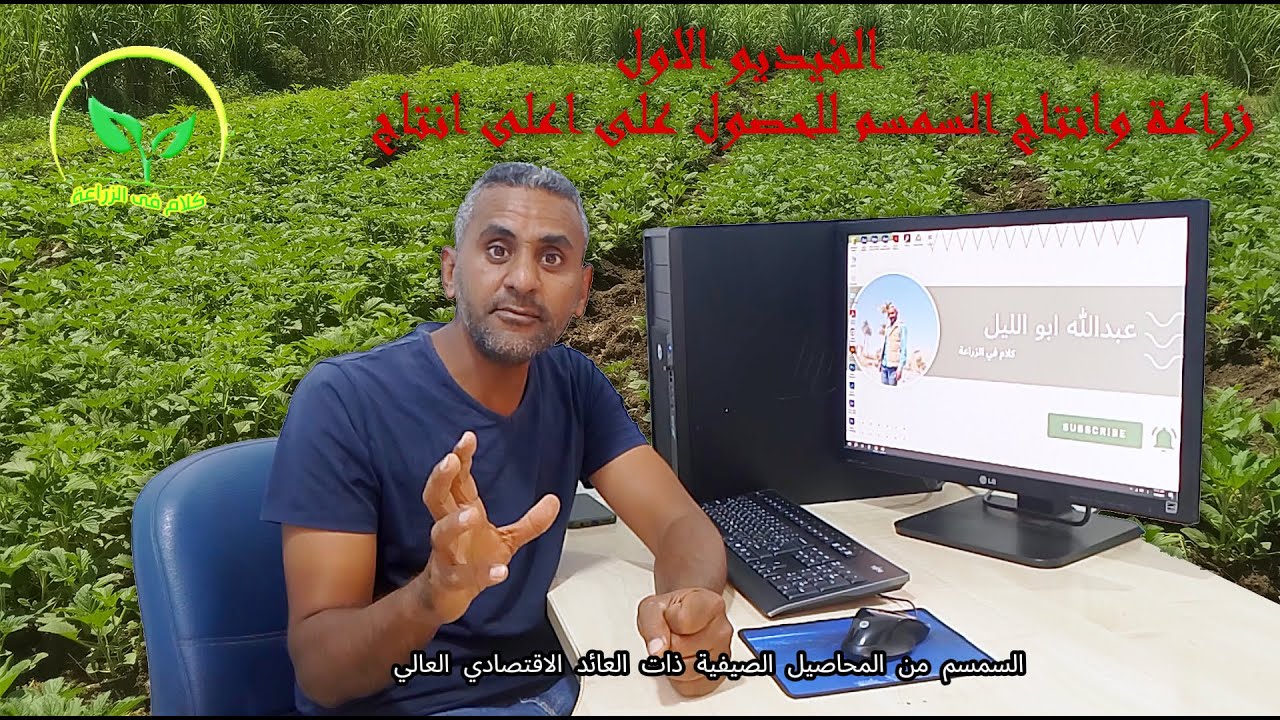 امتى وازاى ازرع السمسم؟؟؟ سلسة زراعة السمسم للحصول على اعلى انتاج (الحلقة الاولى)