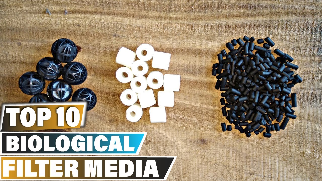 Biological Filter Media: ✅ Best Biological Filter Medias 2025 (Buying Guide)