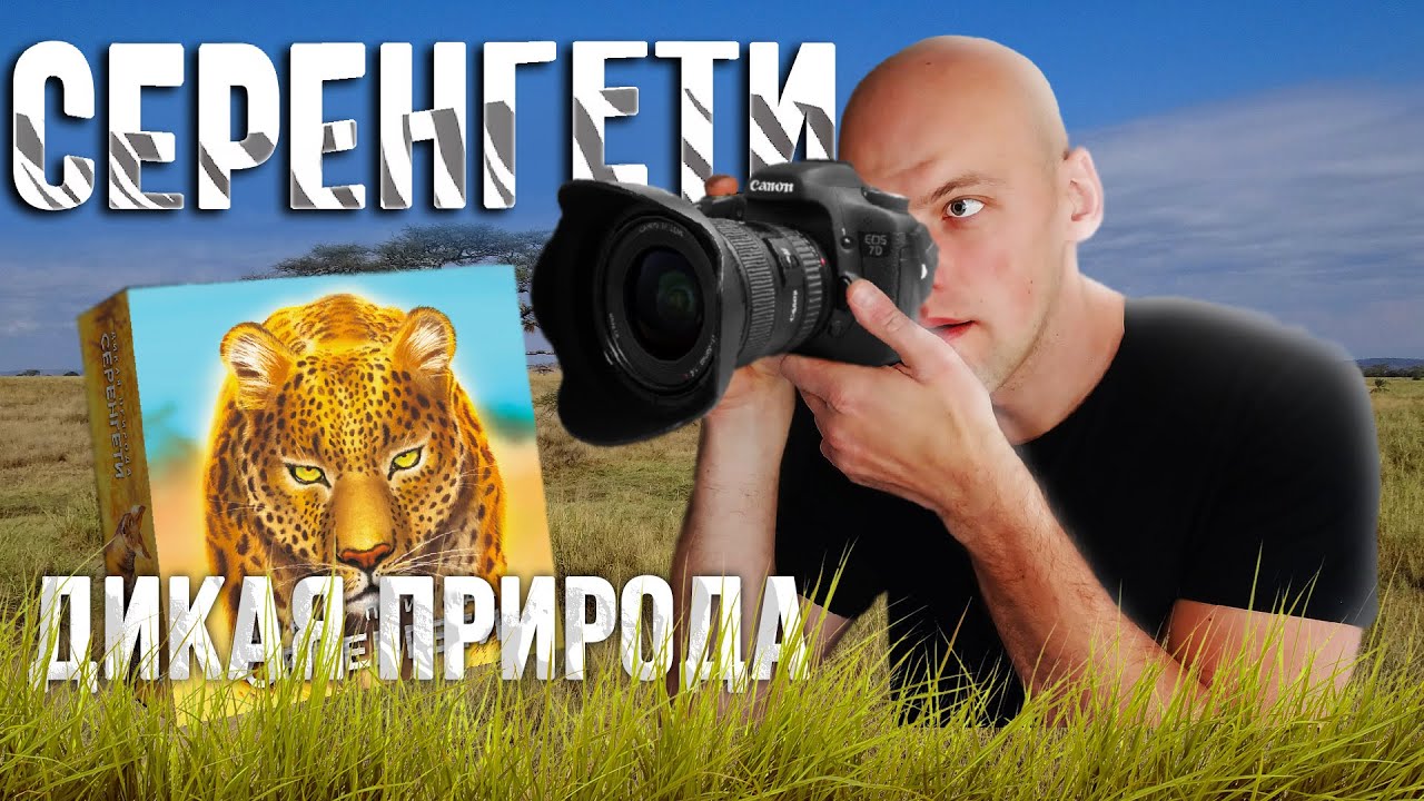 Серенгети - Играем в настольную игру