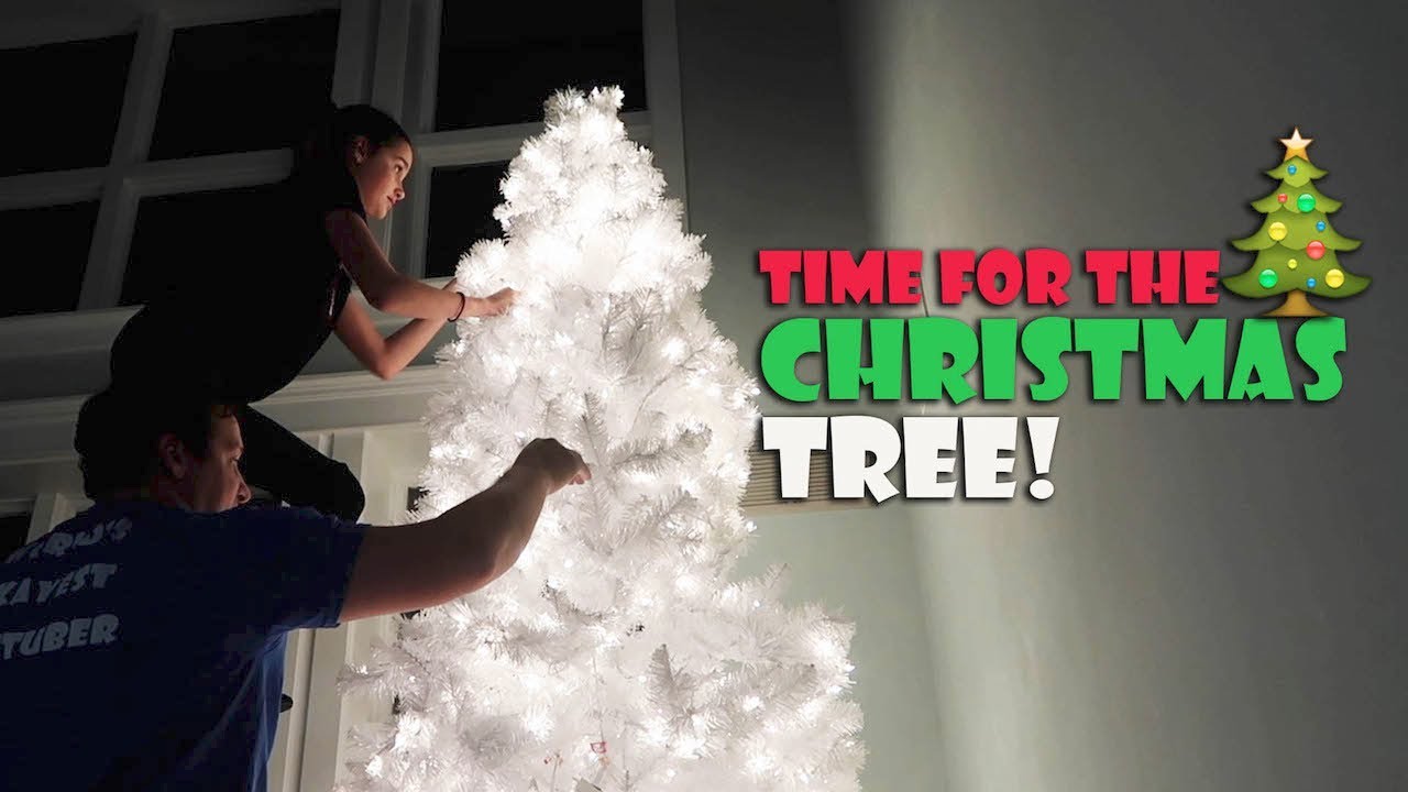 Time for the Christmas Tree 🎄 (WK 360.4) | Bratayley