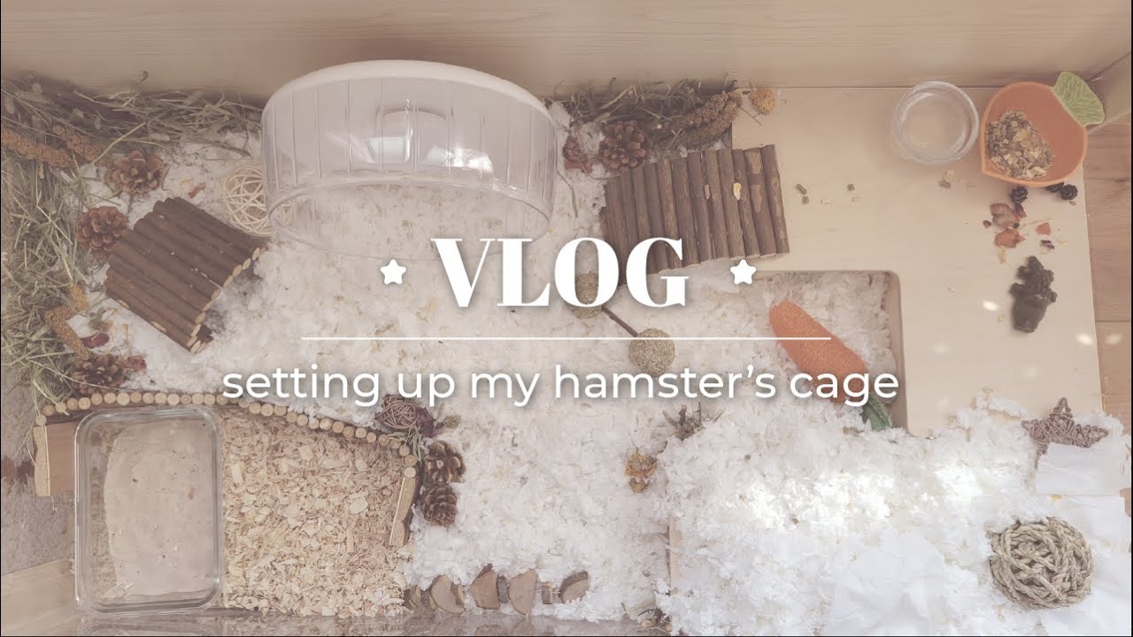 niteangel hamster cage setup🐹