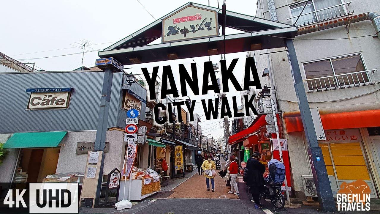 Tokyo's Most Traditional Area - Yanaka
