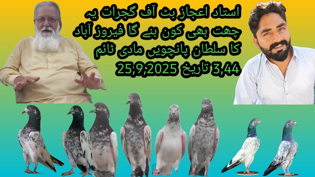 استاد اعجاز بٹ آف گجرات کے شاگرد اسامہ بٹ آف رحمان پورہ گجرات کی چھت ٹورنامنٹ پانچویں مادی، 3,44 