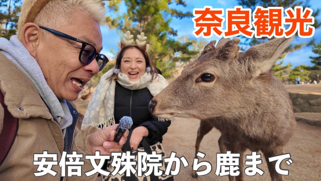 【奈良観光】安倍文殊院〜三輪そうめん山本〜大神神社〜奈良公園の鹿