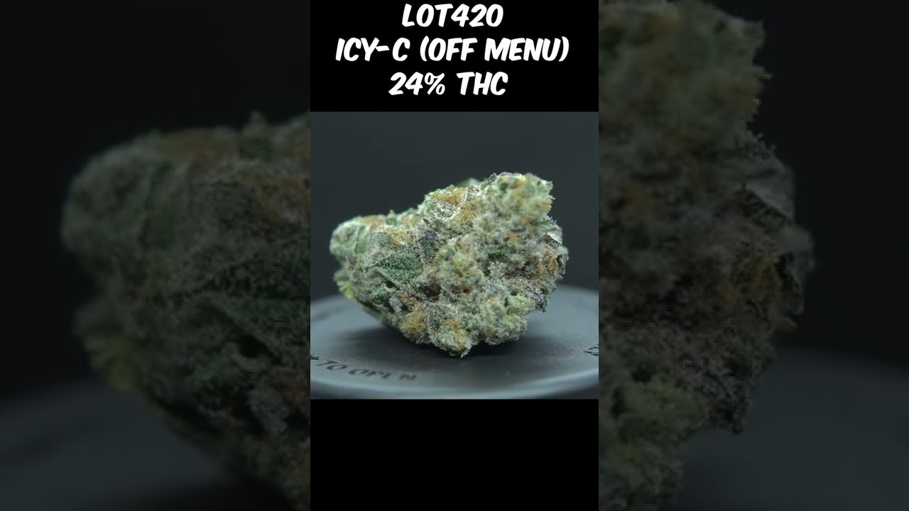 ICY-C - Lot420 Off Menu - 24% THC - Ice Cream Cake #short #zoombud