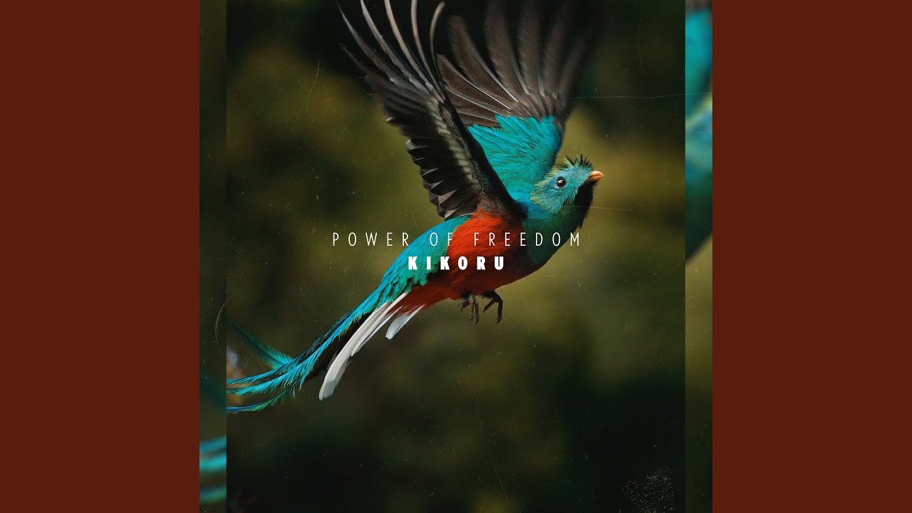 Power of Freedom