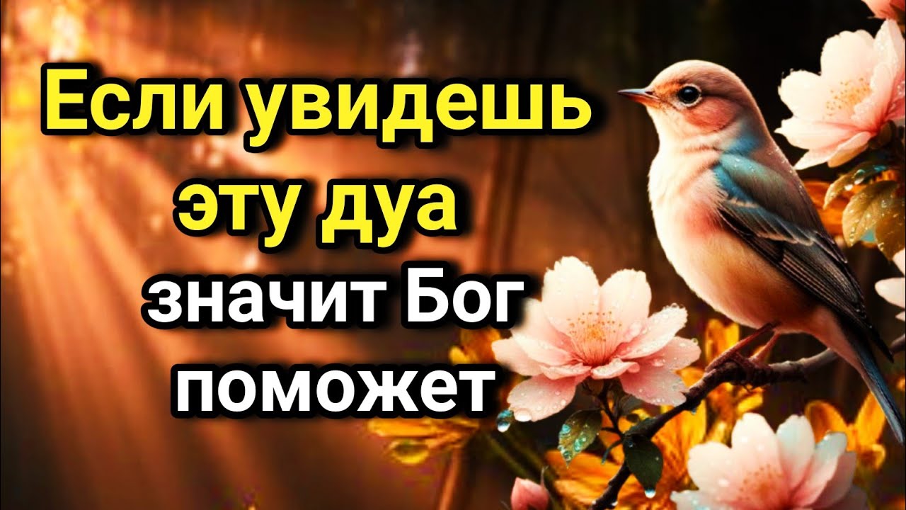 ✨💖🔑 УСОПШИЕ Ждут Эту дуа! Станут на Вашу Защиту!Поминальная дуа за упокой усопших 🤲💯