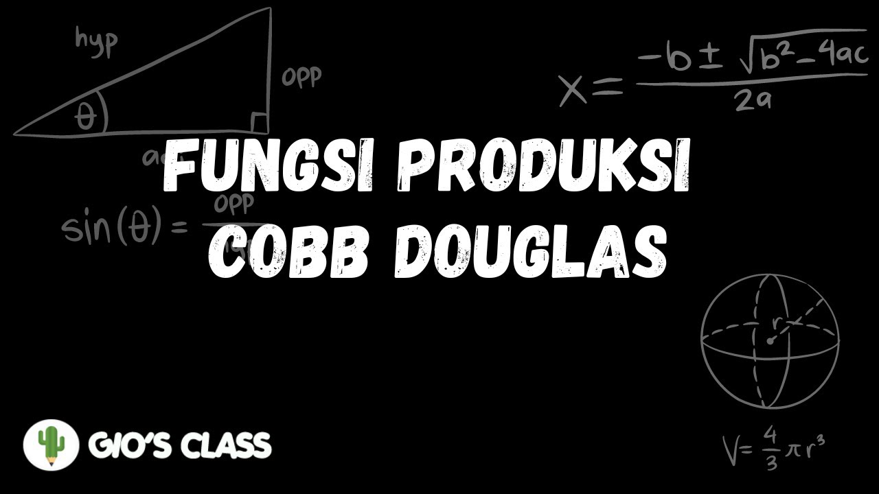 Fungsi Produksi Cobb Douglas