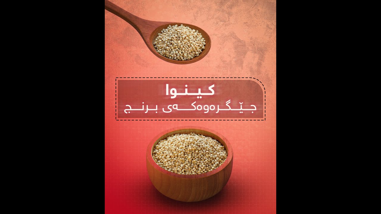 کینوا&hellip;جێگرەوەکەی برنج