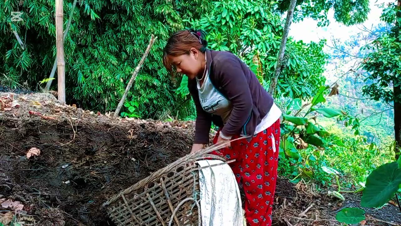 #मल  बोकेको आज  के पाे भए ,,,छ😁😁🫵🫵 #minivlog #