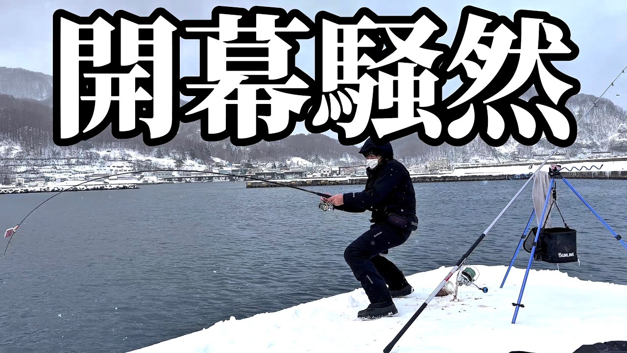 【北海道】【釣り】港内激震！！ついに開幕‼️水中映像にヤツらが押し寄せる
