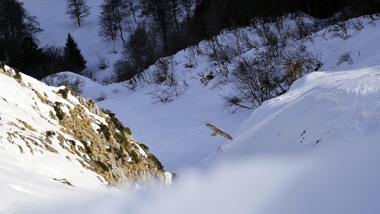 Rando Pic de l'Escalette et Pic de Cagire