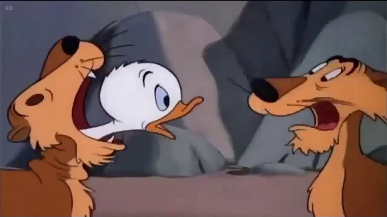 ᴴᴰ Pato Donald y Chip y Dale dibujos animados - Pluto, Mickey Mouse Episodios Completos Nuevo 2019