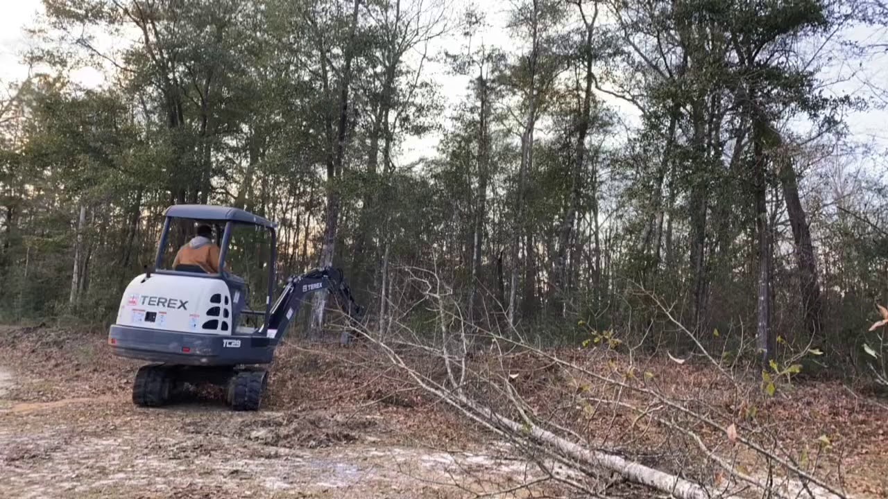 Terex tc29 clearing trees
