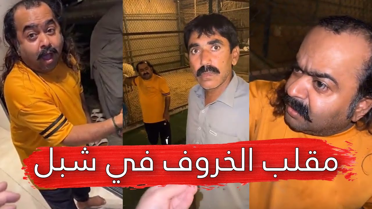 مايد الانصاري [212] مقلب الخروف في شبل 😂✌🏼