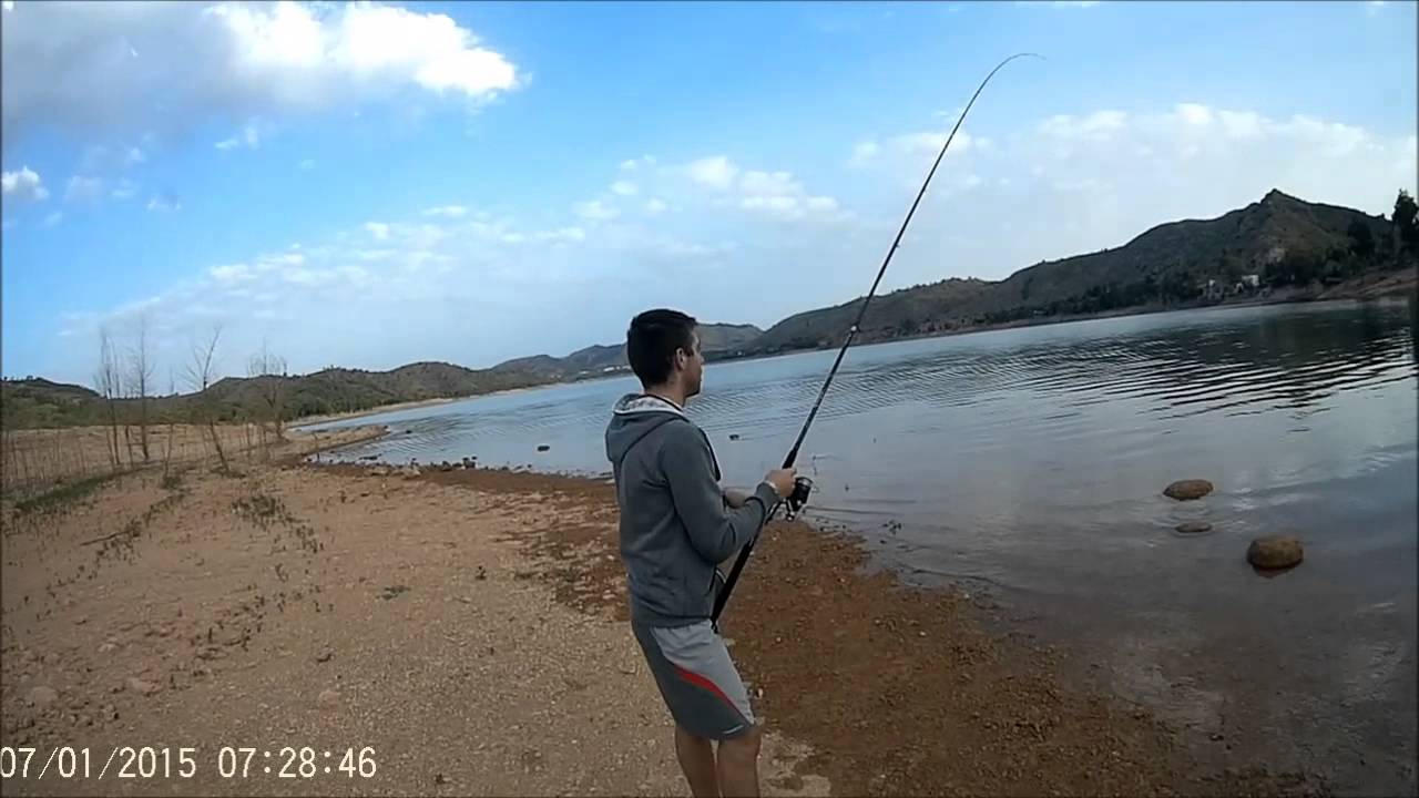 Carpas en el embalse de Camarillas